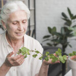 Five Fallacies About Home Care